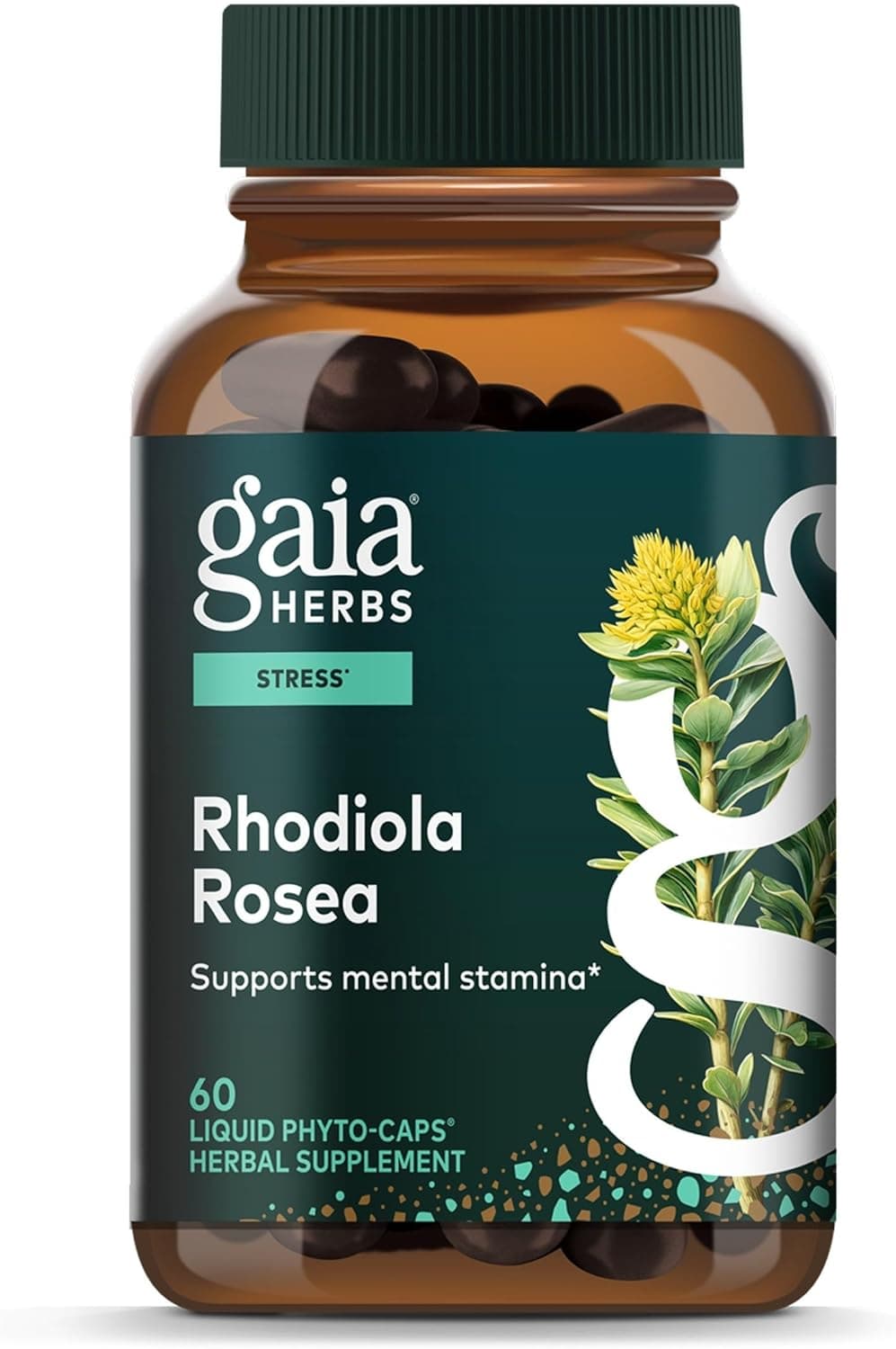 Rhodiola Rosea